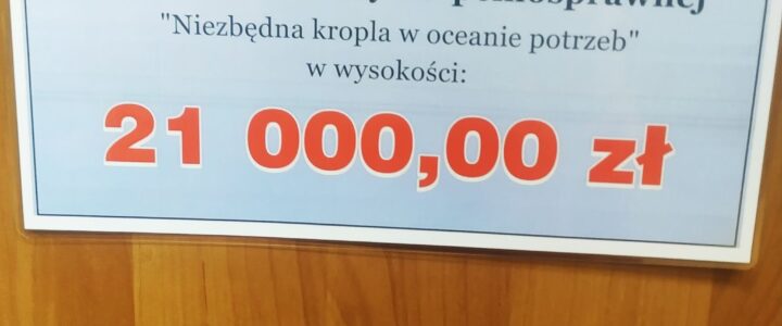 Stowarzyszenie Pomocy na Rzecz Dzieci i Młodzieży Niepełnosprawnej w dniu 22 lutego br. podpisało umowę z Gminą Świebodzice na realizacje projektu ” Niezbędna kropla w oceanie potrzeb” . Na podstawie umowy podpisanej przez: Panią Elżbietę Surgieniewicz  – reprezentujacą  Stowarzyszenie a Burmistrzem Miasta Świebodzice, Panem Pawłem Ozgą Stowarzyszenie otrzymało dofiansowanie w kwocie 21 tys zł , co stanowi  43% całości środków koniecznych do realizacji zadania. W ramach projektu utrzymamy na dotychczasowym poziomie rehabilitację dla członków Stowarzyszenia, w tym dla osób leżących.